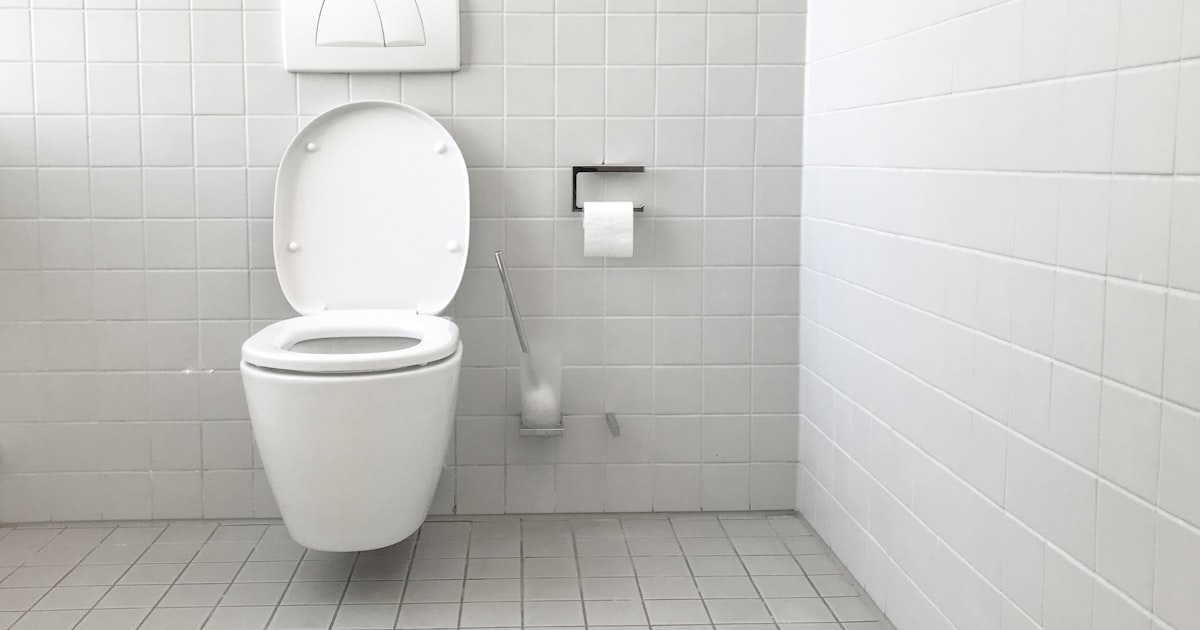 A white toilet and cistern in a quiet bathroom
