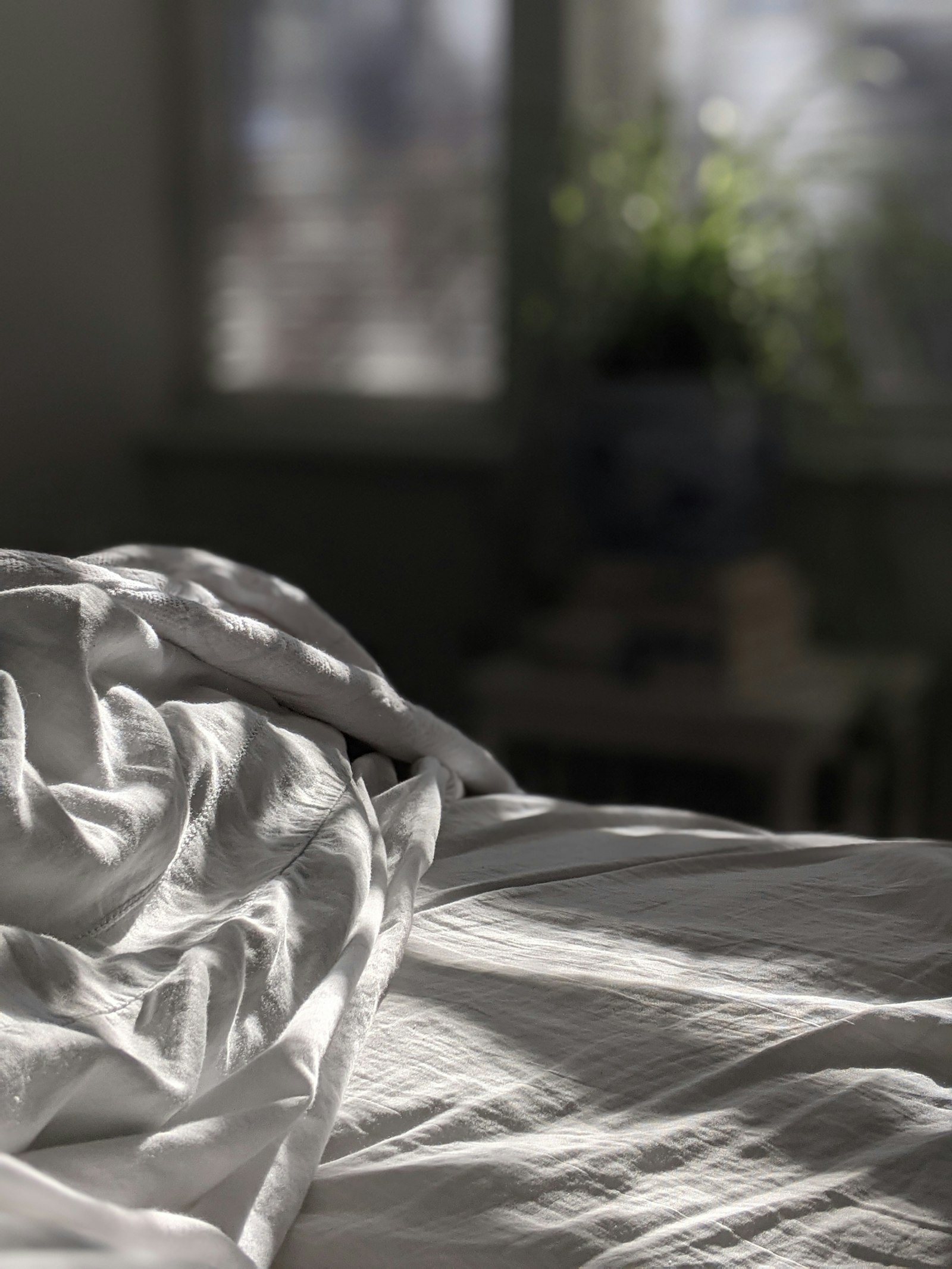White bedding on a brown wooden bed frame in a calm bedroom