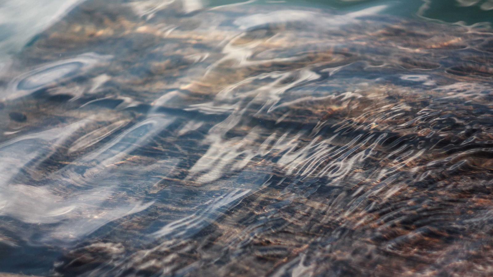Abstract photograph for the Epilepsy: A Plain-English Guide explainer